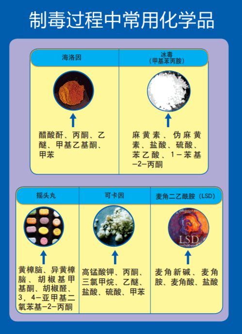 解讀易制毒化學品進出口 法規(guī)、流程與風險管理
